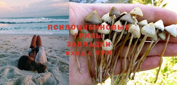 прущая мука Алзамай